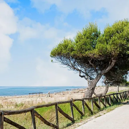 Modern Seaside Escape With Pool Near The Sea *